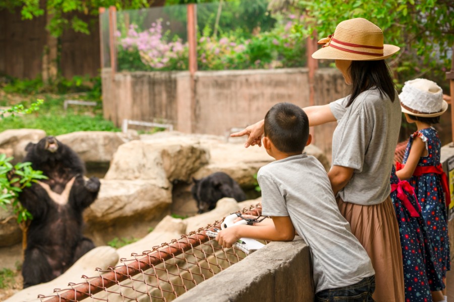 La visite du Parc Animalier d’Auvergne