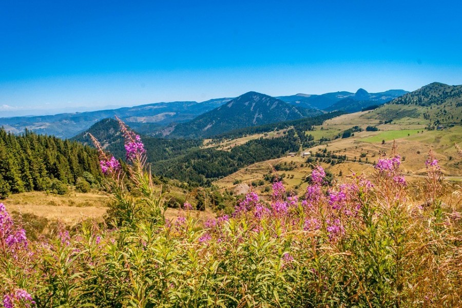 Découvrir le Parc des volcans d'Auvergne