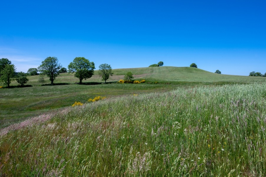 Une randonnée au coeur du Plateau de l'Artense